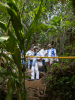 Tilbakeblikk Colombia 2019: regnskog
